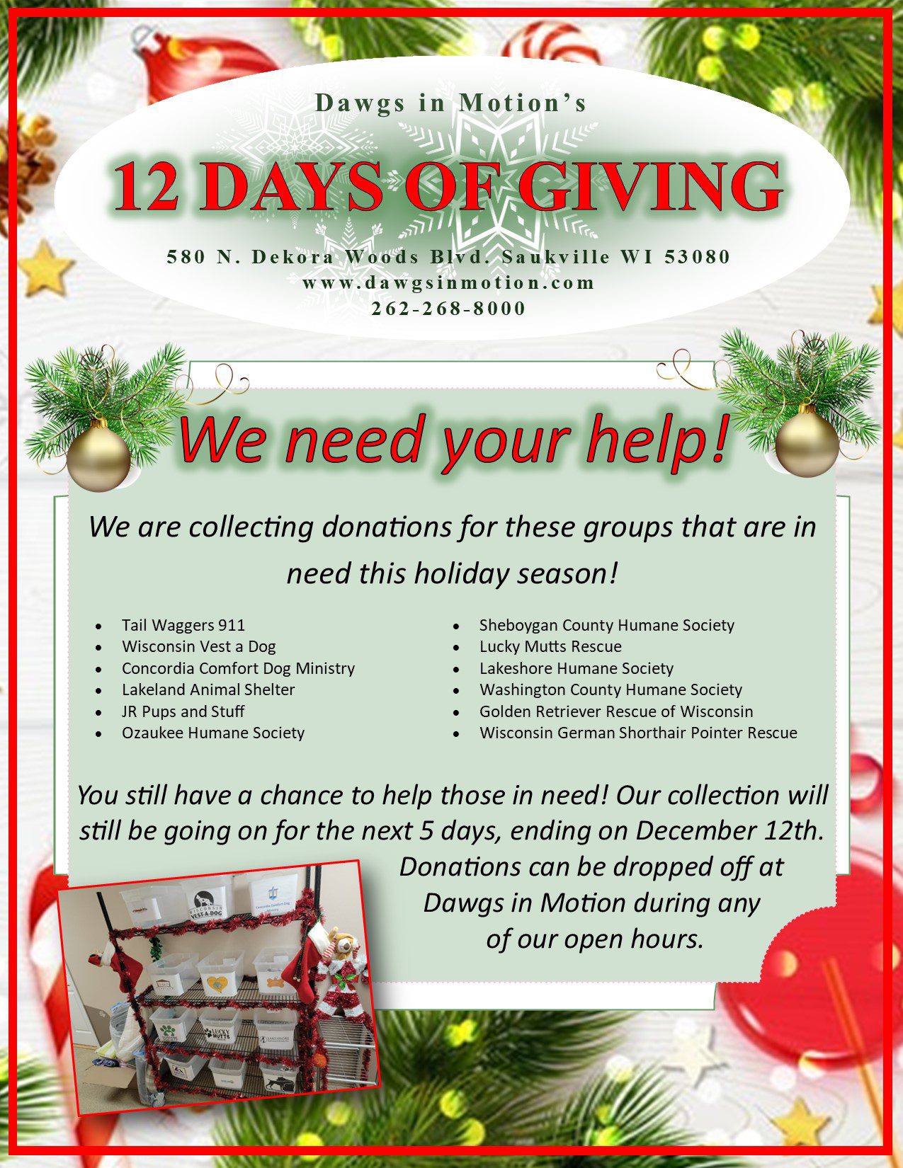 12 days of giving