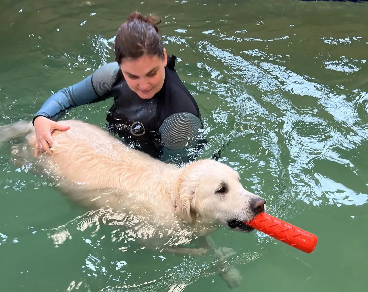 Water therapy for dogs hot sale cost