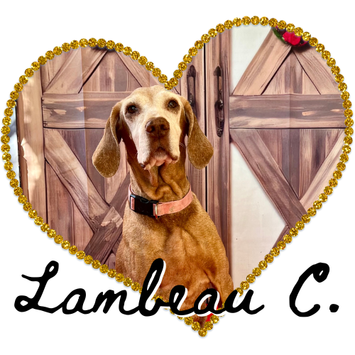 Lambeau Cashin