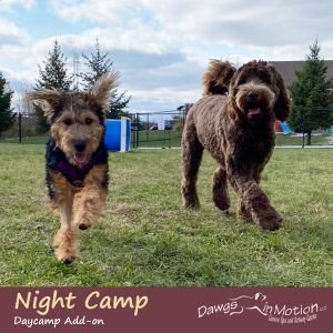 nightcamp daycamp addon