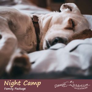 nightcamp family package